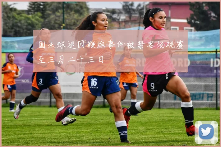 国米球迷因鞭炮事件被禁客场观赛至三月二十三日
