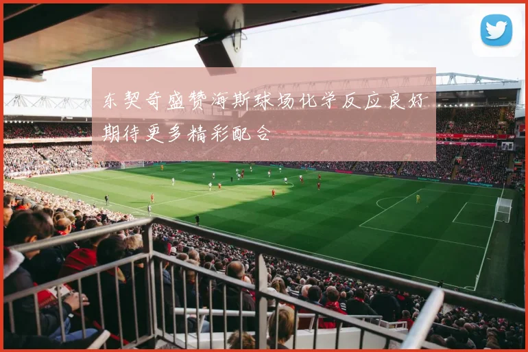 东契奇盛赞海斯球场化学反应良好期待更多精彩配合